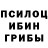 Псилоцибиновые грибы прущие грибы TipoftheEars