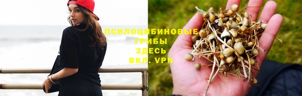 гидра Алзамай