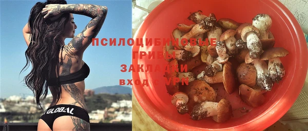 тгк Алексеевка