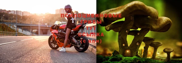 тгк Алексеевка