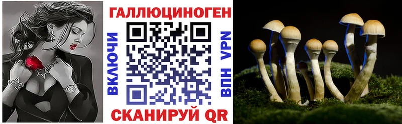 купить Белоозёрский Галлюциногенные грибы Magic Shrooms